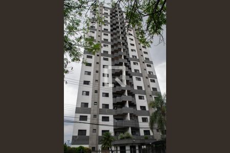 Fachada de apartamento para alugar com 3 quartos, 110m² em Jardim São Paulo(zona Norte), São Paulo