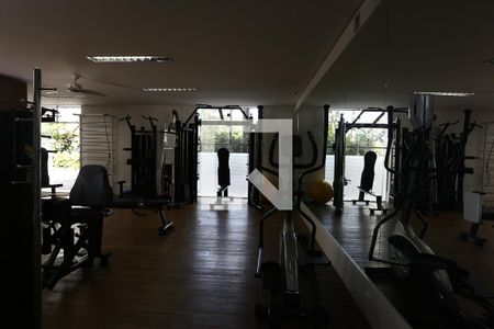 Apartamento para alugar com 204m², 3 quartos e 2 vagasÁrea comum - Academia