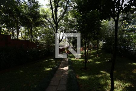 Apartamento para alugar com 204m², 3 quartos e 2 vagashorta / bosque