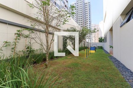 Studio para alugar com 24m², 1 quarto e sem vagaEspaço Pet