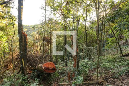 Casa de Condomínio à venda com 0 quarto, 1894m² em Estância Serrana, Nova Lima