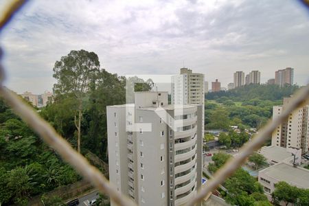 Vista da Varanda de apartamento para alugar com 1 quarto, 46m² em Jardim Ampliação, São Paulo