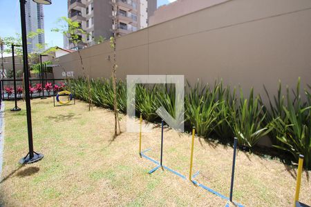 Studio para alugar com 30m², 1 quarto e sem vaga Studio para alugar com 30m², 1 quarto e sem vagaÁrea Comum - Espaço Pet