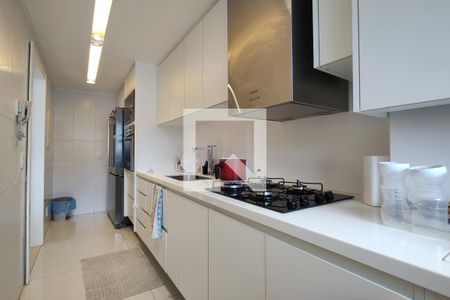 Cozinha - Armários de apartamento à venda com 3 quartos, 169m² em Freguesia de Jacarepaguá, Rio de Janeiro