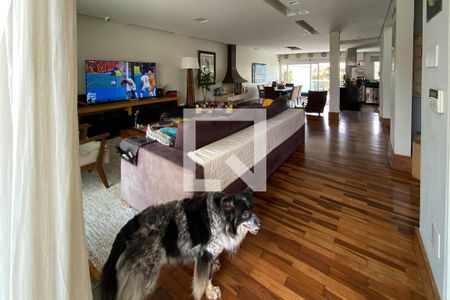 Sala de casa à venda com 3 quartos, 390m² em Olímpico, São Caetano do Sul