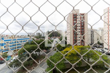 Apartamento para alugar com 65m², 2 quartos e 1 vagaVista da Lavanderia 
