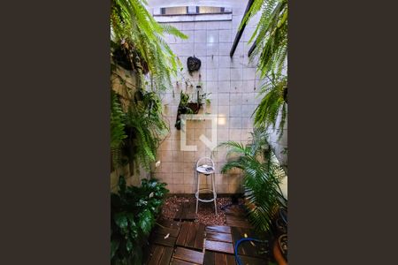 Jardim de inverno de casa à venda com 3 quartos, 210m² em Ipiranga, São Paulo