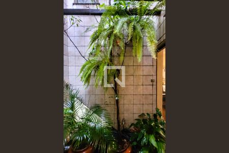 Jardim de inverno de casa à venda com 3 quartos, 210m² em Ipiranga, São Paulo