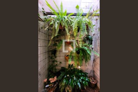 Jardim de inverno de casa à venda com 3 quartos, 210m² em Ipiranga, São Paulo