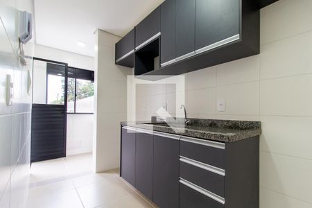Apartamento para alugar com 46m², 2 quartos e 1 vagaCozinha - Armários