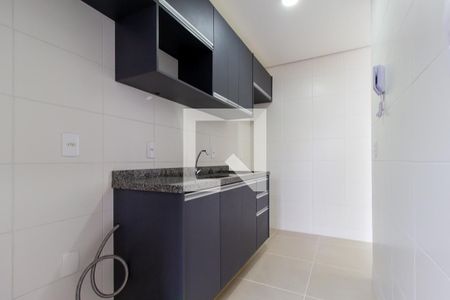 Apartamento para alugar com 46m², 2 quartos e 1 vagaCozinha - Armários