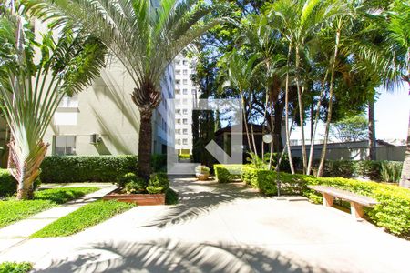 Apartamento para alugar com 54m², 2 quartos e 1 vagaJardim