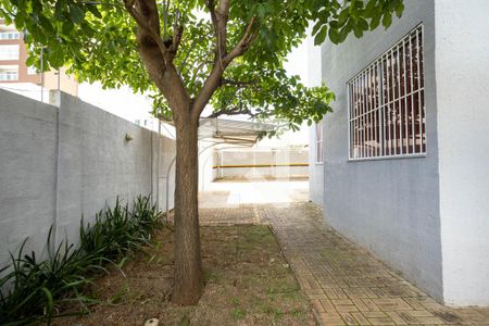 Apartamento para alugar com 60m², 2 quartos e 2 vagas Apartamento para alugar com 60m², 2 quartos e 2 vagasÁrea comum