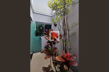 Apartamento à venda com 263m², 4 quartos e 3 vagasQuintal