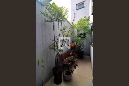 Apartamento à venda com 263m², 4 quartos e 3 vagasQuintal