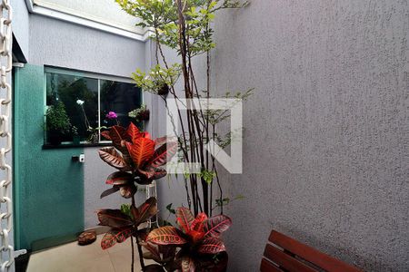 Apartamento à venda com 263m², 4 quartos e 3 vagasQuintal