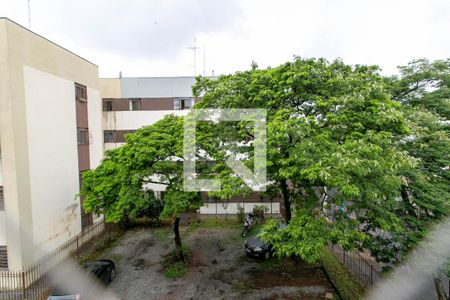 Apartamento para alugar com 80m², 3 quartos e 1 vagaVista do Quarto 2