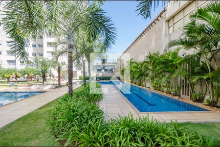 Apartamento para alugar com 75m², 3 quartos e 2 vagasPiscina