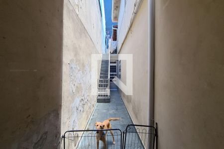 Casa para alugar com 170m², 3 quartos e 2 vagas Casa para alugar com 170m², 3 quartos e 2 vagasCorredor