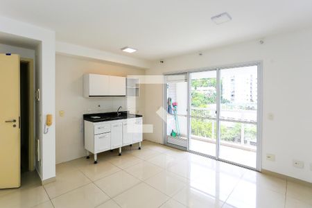 Sala de apartamento para alugar com 2 quartos, 60m² em Vila Andrade, São Paulo