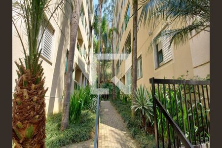 Apartamento à venda com 60m², 3 quartos e 1 vaga