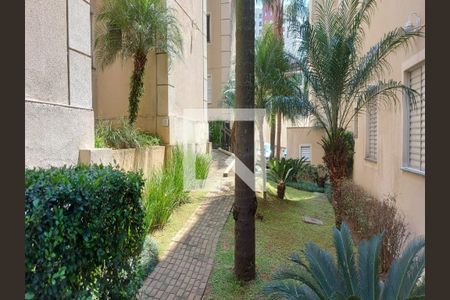 Apartamento à venda com 60m², 3 quartos e 1 vaga