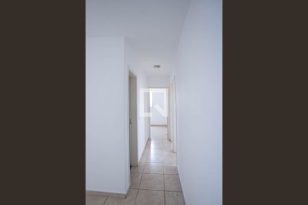 Corredor de apartamento à venda com 3 quartos, 80m² em Castelo, Belo Horizonte