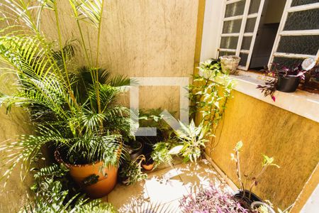 Casa à venda com 280m², 2 quartos e 2 vagasCasa 2 Quintal