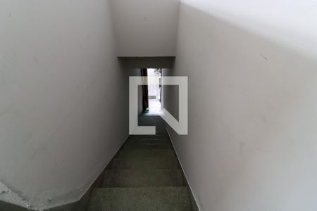 Escada da Entrada  de casa para alugar com 3 quartos, 100m² em Vila Clara, São Paulo