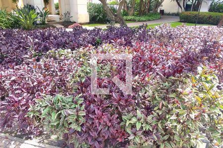 Apartamento para alugar com 99m², 2 quartos e 1 vaga Apartamento para alugar com 99m², 2 quartos e 1 vagaÁrea Comum - Playground