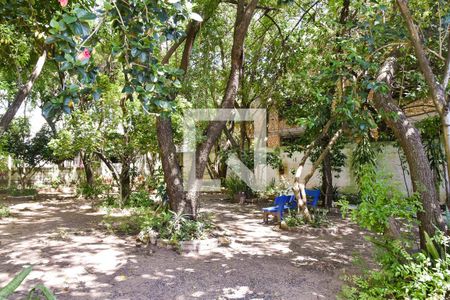 Apartamento para alugar com 52m², 1 quarto e sem vagaÁrea Verde