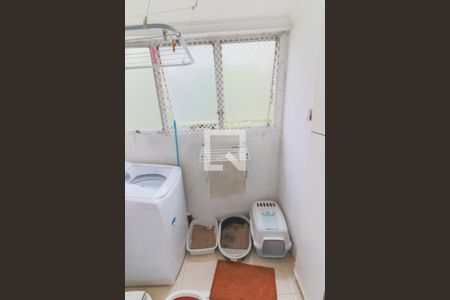 Apartamento para alugar com 60m², 2 quartos e 1 vagaCozinha /  Lavanderia