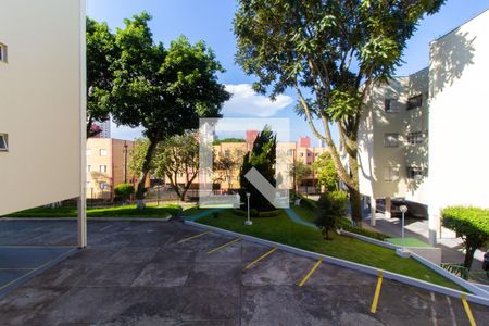 Vista da Sala de apartamento para alugar com 2 quartos, 62m² em Vila Claudia, São Paulo