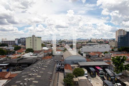 Vista da Varanda de apartamento para alugar com 3 quartos, 73m² em Vila Maria Baixa, São Paulo