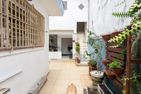 Casa à venda com 240m², 3 quartos e 2 vagasQuintal