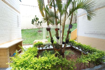 Vista da sala  de apartamento para alugar com 2 quartos, 62m² em Conjunto Residencial Parque Bandeirantes, Campinas