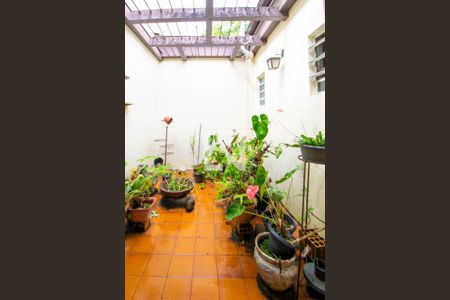 Espaço verde de casa à venda com 3 quartos, 170m² em Teresópolis, Porto Alegre