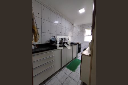 Cozinha - Armários de apartamento à venda com 2 quartos, 66m² em Jardim Santa Emília, São Paulo