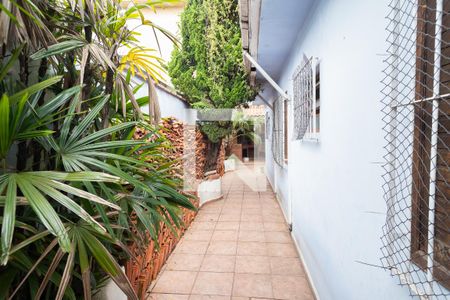 Casa à venda com 207m², 2 quartos e 2 vagas Casa à venda com 207m², 2 quartos e 2 vagasQuintal
