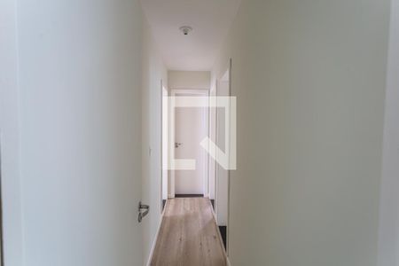 Corredor de apartamento para alugar com 3 quartos, 80m² em Fernão Dias, Belo Horizonte