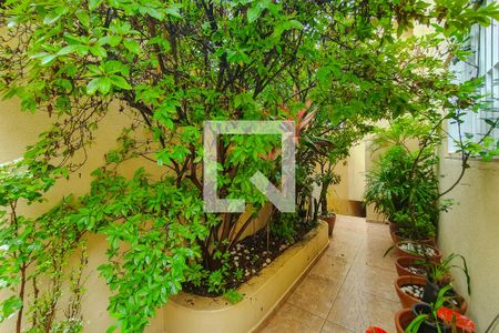 Casa à venda com 320m², 4 quartos e 3 vagas Casa à venda com 320m², 4 quartos e 3 vagasQuintal