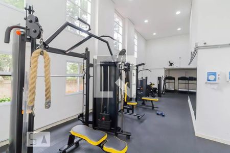 Apartamento para alugar com 59m², 2 quartos e 1 vaga Apartamento para alugar com 59m², 2 quartos e 1 vagaÁrea comum - Academia