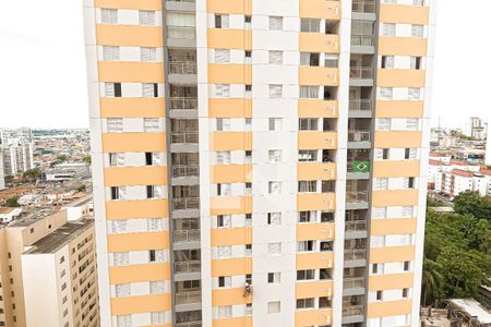 Apartamento para alugar com 59m², 2 quartos e 1 vaga Apartamento para alugar com 59m², 2 quartos e 1 vagaVista da Suíte