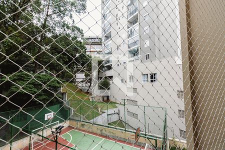 Sala Vista de apartamento à venda com 3 quartos, 72m² em Vila Ipojuca, São Paulo