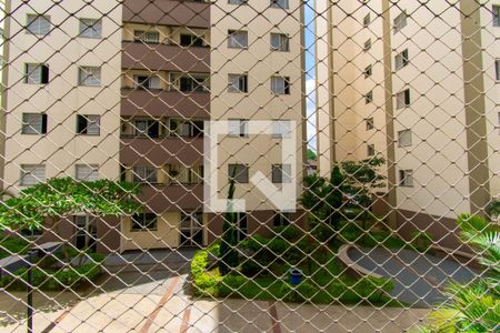 Apartamento para alugar com 59m², 3 quartos e 1 vaga Apartamento para alugar com 59m², 3 quartos e 1 vagaVista da Varanda