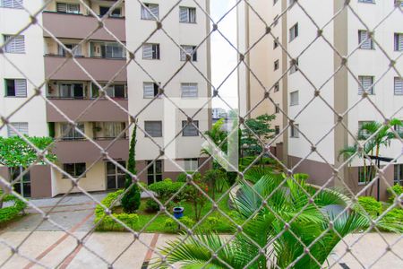 Vista do Quarto 1 de apartamento para alugar com 3 quartos, 59m² em Vila Bela, São Paulo