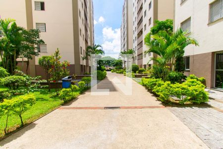 Apartamento para alugar com 59m², 3 quartos e 1 vaga Apartamento para alugar com 59m², 3 quartos e 1 vagaÁrea comum
