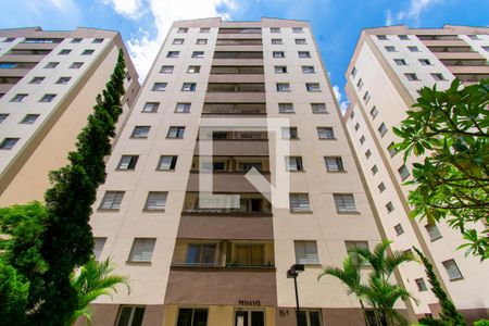 Fachada do bloco de apartamento para alugar com 3 quartos, 59m² em Vila Bela, São Paulo