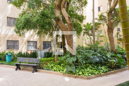 Apartamento para alugar com 53m², 2 quartos e 1 vaga Apartamento para alugar com 53m², 2 quartos e 1 vagaÁrea comum