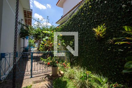 Casa à venda com 450m², 4 quartos e 5 vagas Casa à venda com 450m², 4 quartos e 5 vagasQuintal